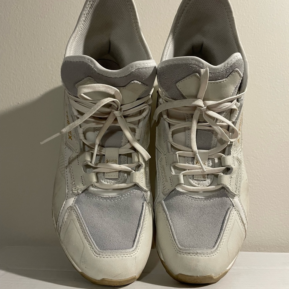 Adidas Terrex Hiking Shoes